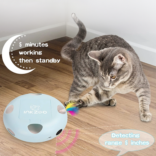 Super Fun Smart Indoor Cat Interactive Cat Toy
