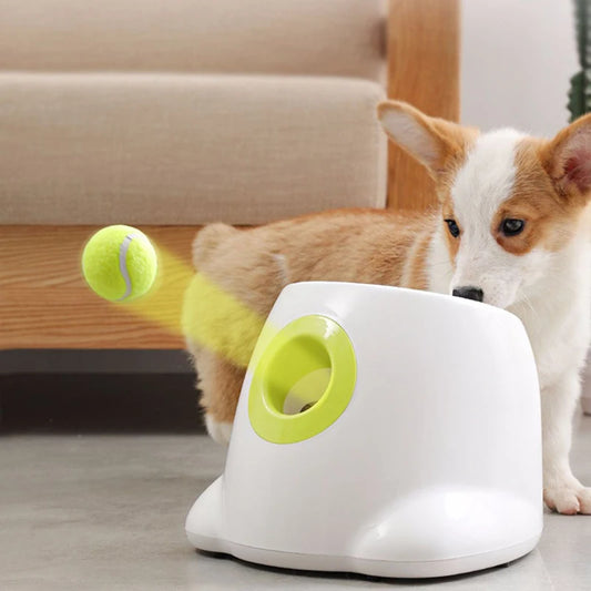 Automatic Ball Launcher for Pets