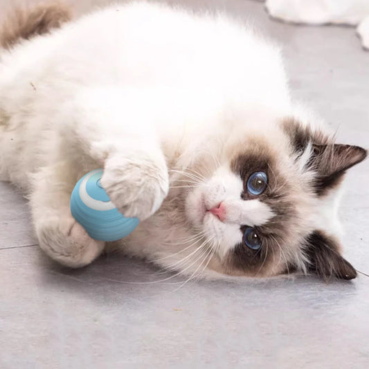 Interactive Electric Cat Ball Toys
