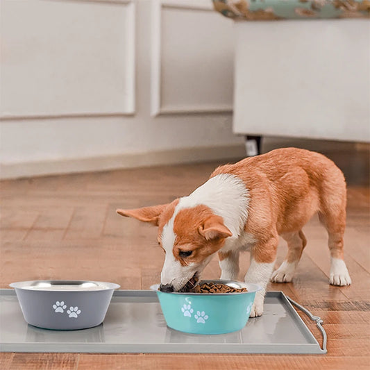 Non-slip Stainless Steel Dog Bowl