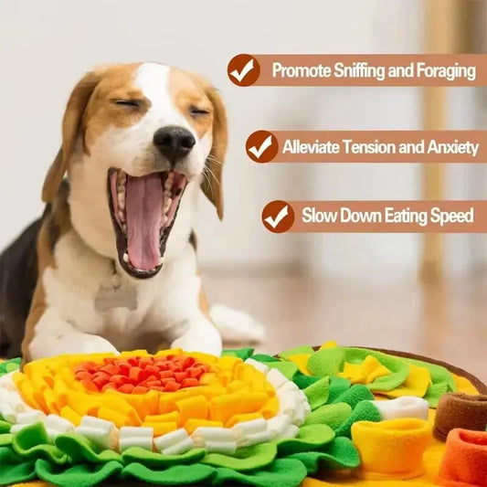 Interactive Dog Educational Toy Snuff Sniffing Mat